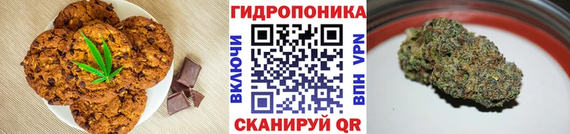 где найти   darknet как зайти  Canna-Cookies марихуана  Бийск 