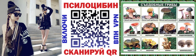 mega зеркало  Бийск  Псилоцибиновые грибы MAGIC MUSHROOMS  сколько стоит 