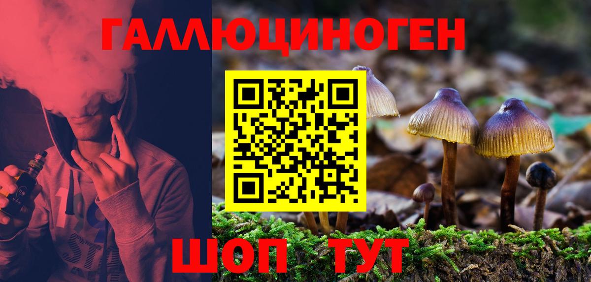 Псилоцибиновые грибы мицелий  Вход с VPN  Бийск 